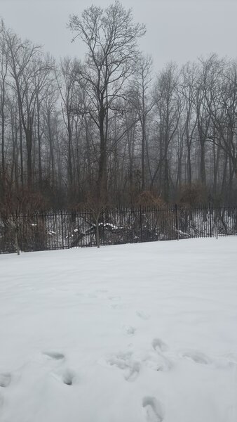 Gradistea, Sitaru, Ilfov