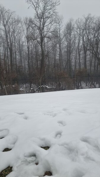 Gradistea, Sitaru, Ilfov